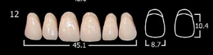 Зубы "АНИС" фронт. A3 12  6 шт н/ч серт.