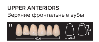 Зубы "АНИС" фронт. B3 11 6 шт.в/ч