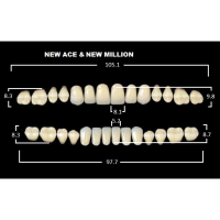 Зубы акриловые Глория New Ace фасон Т6, боковые М32, цвет В1, 28шт