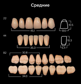 Зубы "АНИС" жеват. А3 82 (20гарн. по 8 шт.) н/ч