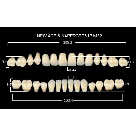 Зубы акриловые Глория New Ace фасон Т5, боковые М32, цвет В1, 28шт