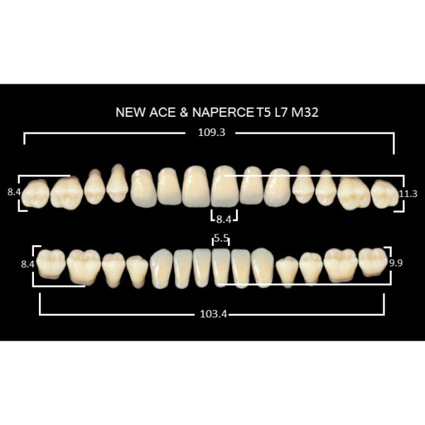 Зубы акриловые Глория New Ace фасон Т5, боковые М32, цвет В1, 28шт