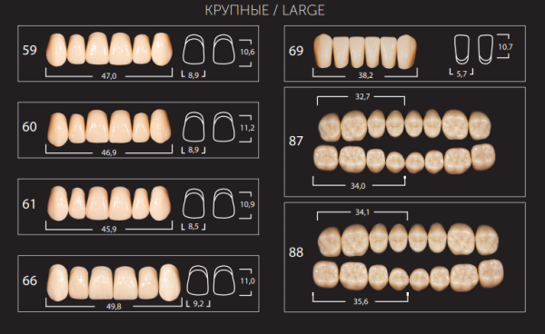 Зубы "АНИС Эксперт" фронт. А3 69 6 шт. н/ч