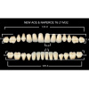 Зубы New Ace 20 полн. гарн. в боксе, верх T5, низ L7, боковые M32, цвет А3