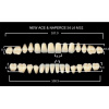 Зубы New Ace 20 полн. гарн. в боксе, верх S4, низ L4, боковые M32, цвет A2